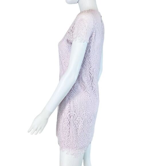 Mi Ami by Francesca’s Mini Lace Dress Mini Womens Pastel - Picture 3 of 11